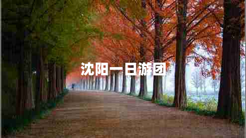 沈阳一日游团