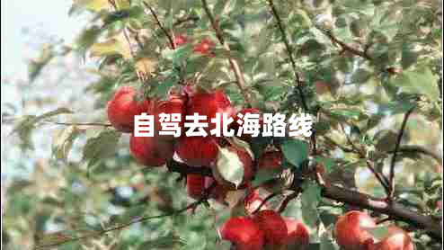 自驾去北海路线