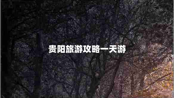 贵阳旅游攻略一天游