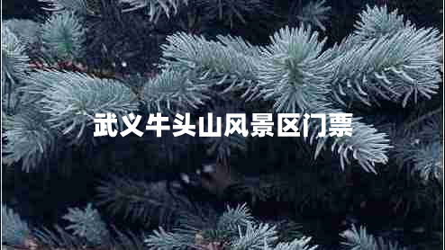 武义牛头山风景区门票