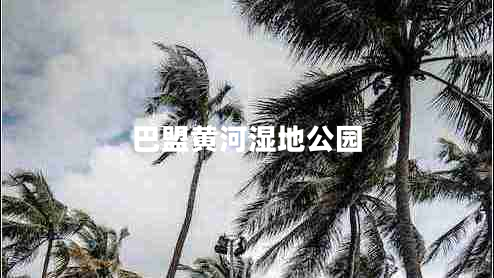 巴盟黄河湿地公园