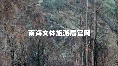 南海文体旅游局官网