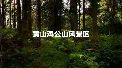黄山鸡公山风景区