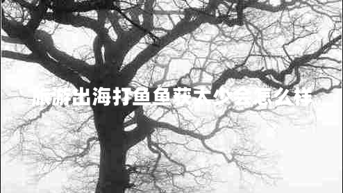 旅游出海打鱼鱼获太少会怎么样 旅游出海打鱼鱼获太少会怎么样