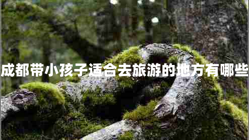 成都带小孩子适合去旅游的地方有哪些