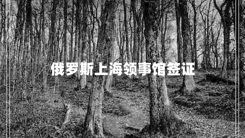 俄罗斯上海领事馆签证