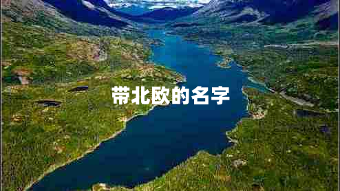 带北欧的名字