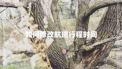 如何修改航班行程时间 如何修改航班行程时间