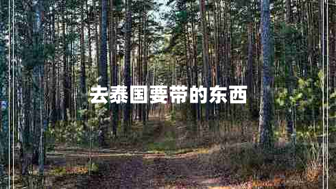 去泰国要带的东西