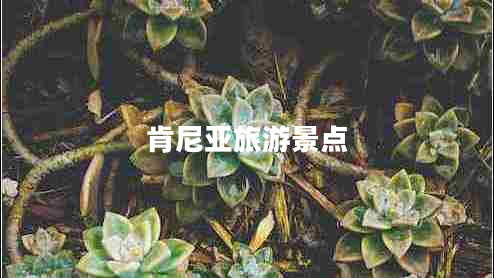 肯尼亚旅游景点