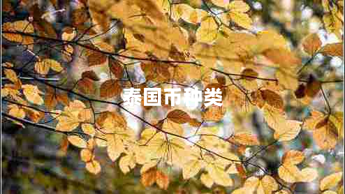 泰国币种类