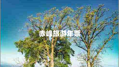 赤峰旅游年票