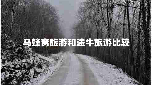 马蜂窝旅游和途牛旅游比较