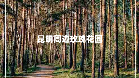 昆明周边玫瑰花园 昆明周边玫瑰花园