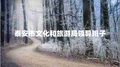泰安市文化和旅游局领导班子