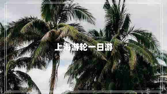 上海游轮一日游 上海游轮一日游