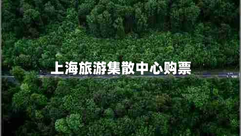 上海旅游集散中心购票
