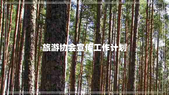 旅游协会宣传工作计划