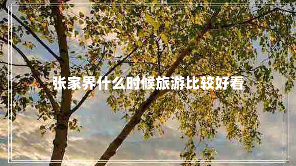 张家界什么时候旅游比较好看