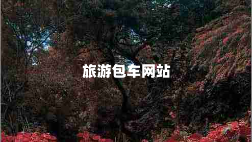 旅游包车网站