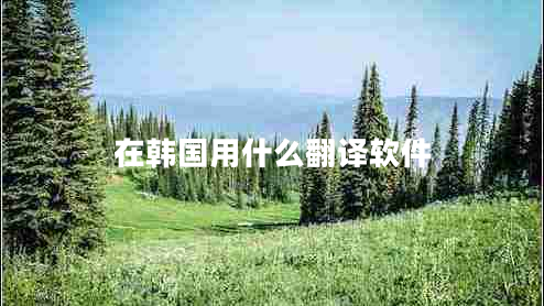 在韩国用什么翻译软件