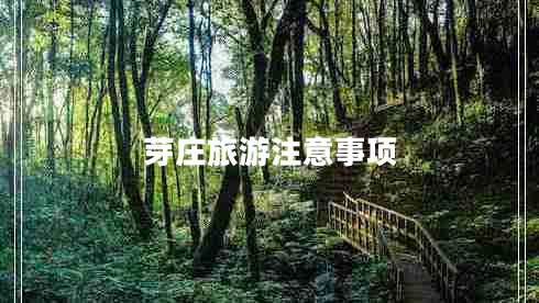 芽庄旅游注意事项