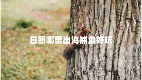 日照哪里出海捕鱼好玩