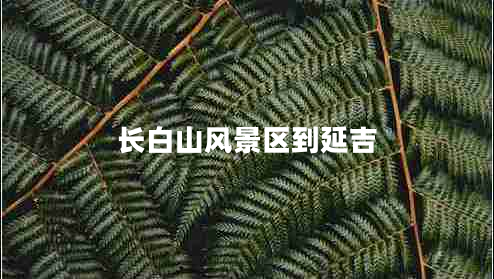 长白山风景区到延吉