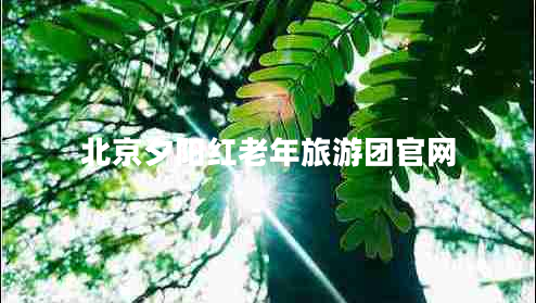 北京夕阳红老年旅游团官网