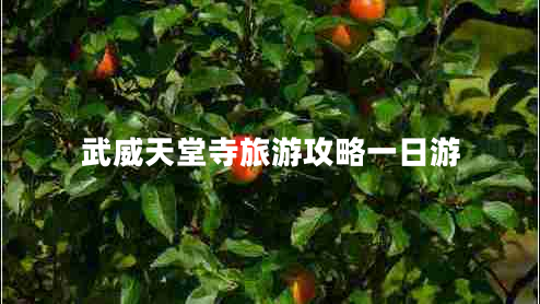武威天堂寺旅游攻略一日游 武威天堂寺旅游攻略一日游