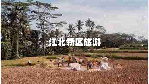 江北新区旅游