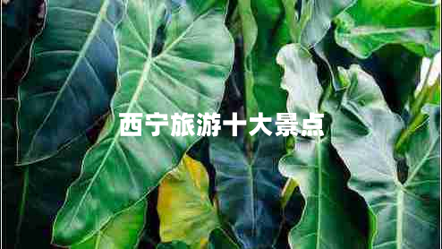 西宁旅游十大景点 西宁旅游十大景点