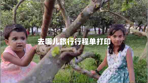 去哪儿旅行行程单打印