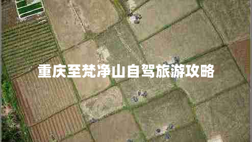 重庆至梵净山自驾旅游攻略