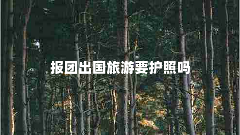 报团出国旅游要护照吗