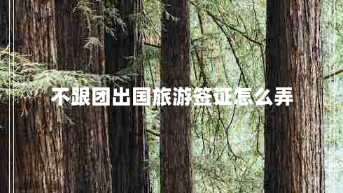 不跟团出国旅游签证怎么弄