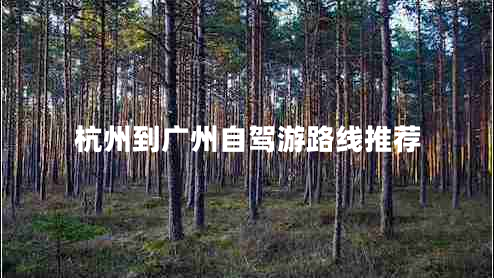 杭州到广州自驾游路线推荐