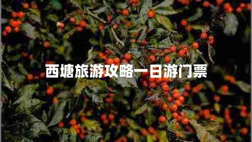 西塘旅游攻略一日游门票
