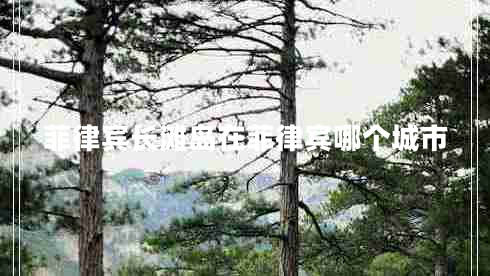 菲律宾长滩岛在菲律宾哪个城市
