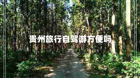 贵州旅行自驾游方便吗