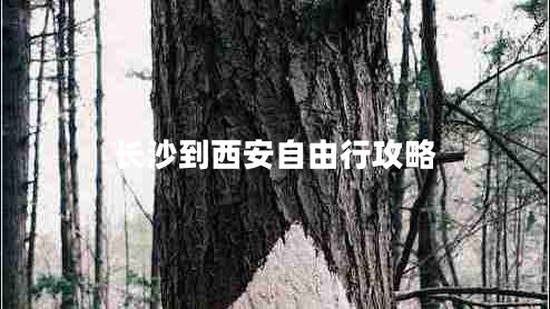 长沙到西安自由行攻略