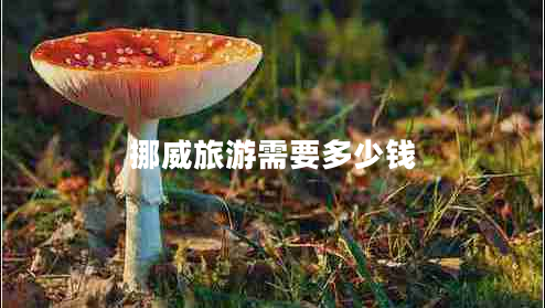 挪威旅游需要多少钱