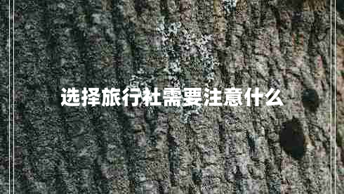 选择旅行社需要注意什么