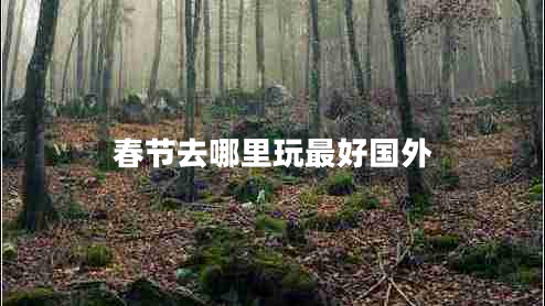 春节去哪里玩最好国外