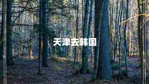 天津去韩国