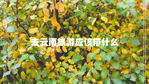 去云南旅游应该带什么