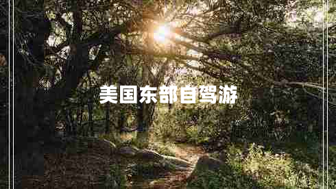 美国东部自驾游