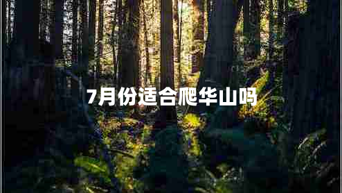 7月份适合爬华山吗
