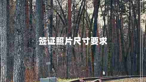 签证照片尺寸要求