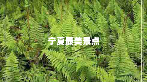 宁夏最美景点 宁夏最美景点